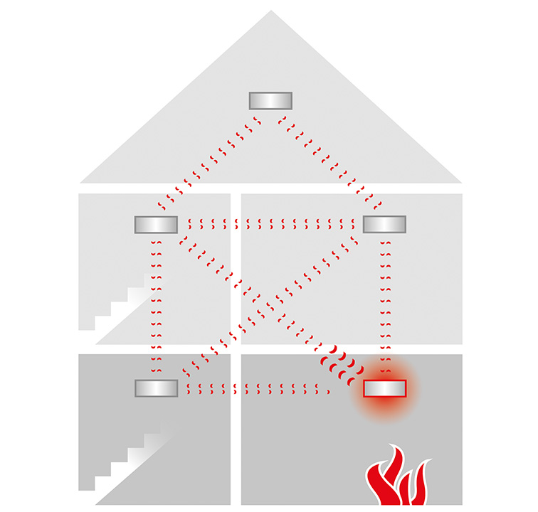 Wireless networking